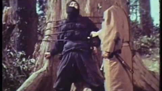 If you decapitate a ninja with a boomerang, he just ain't dead